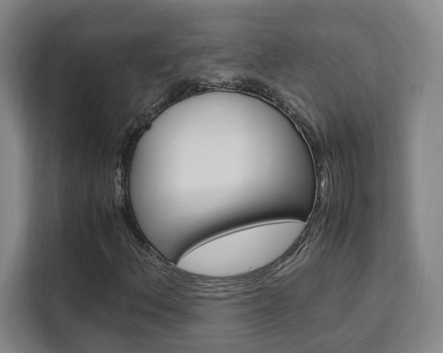 X0000111451156200907131035