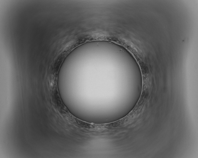 X0000111451157200907131035