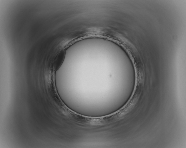 X0000111451161200907131035