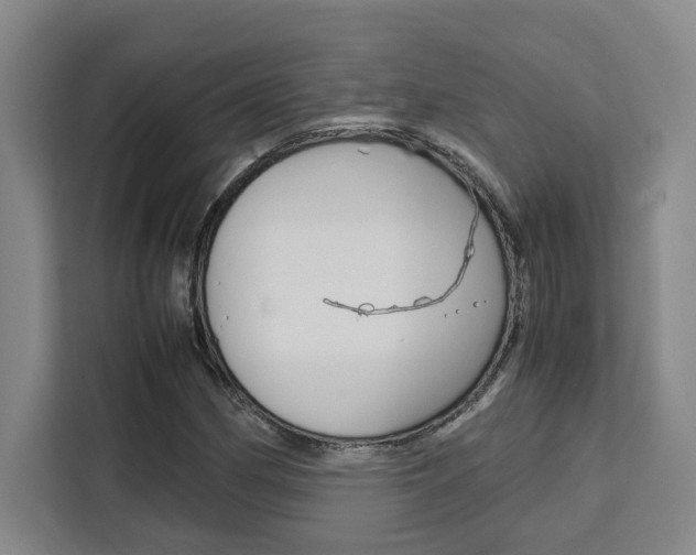 X0000111451162200907131035