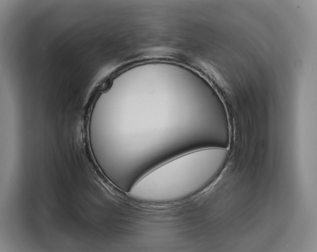 X0000111451164200907131035