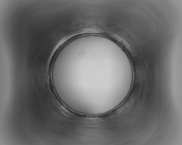 X0000111451168200907131035