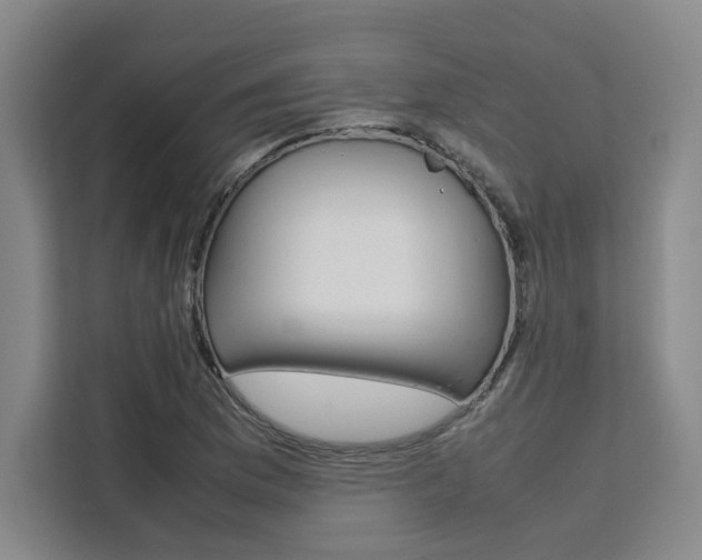 X0000111451169200907131035