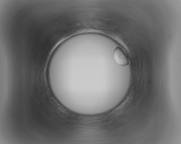X0000111451173200907131035
