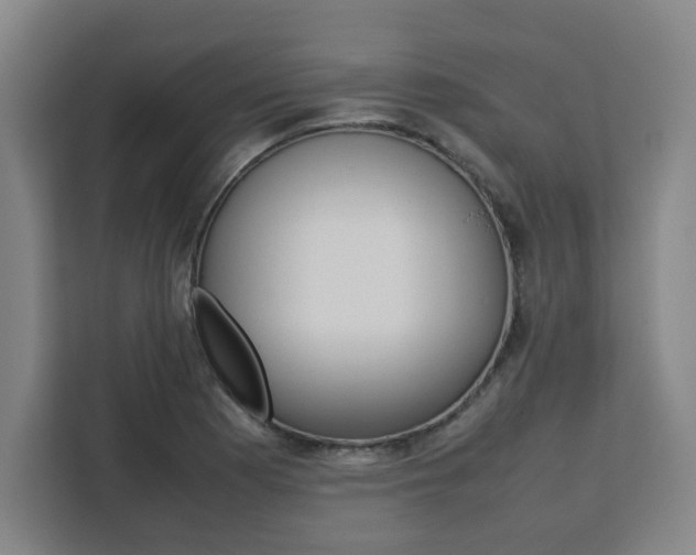 X0000111451177200907131035