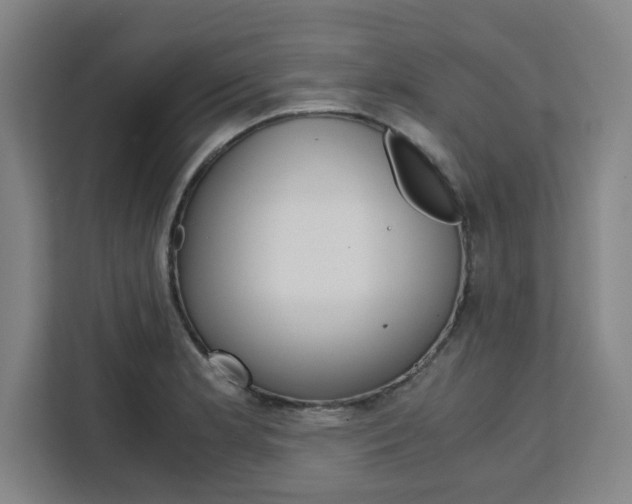 X0000111451181200907131035