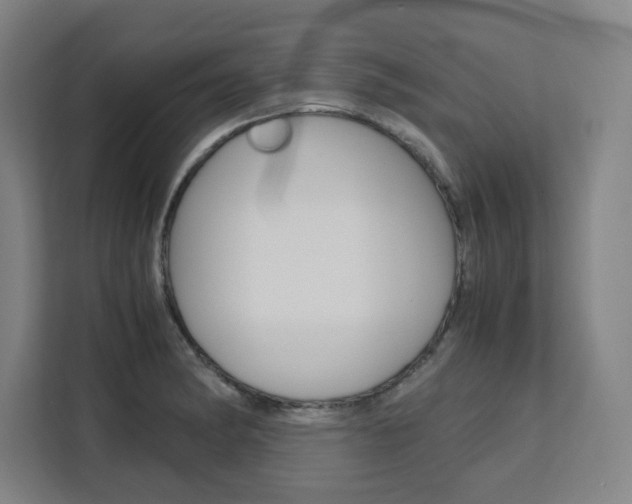 X0000111451182200907131035