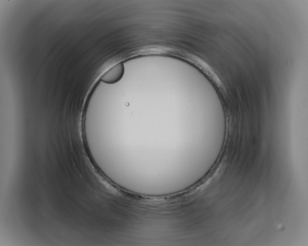 X0000111451186200907131035