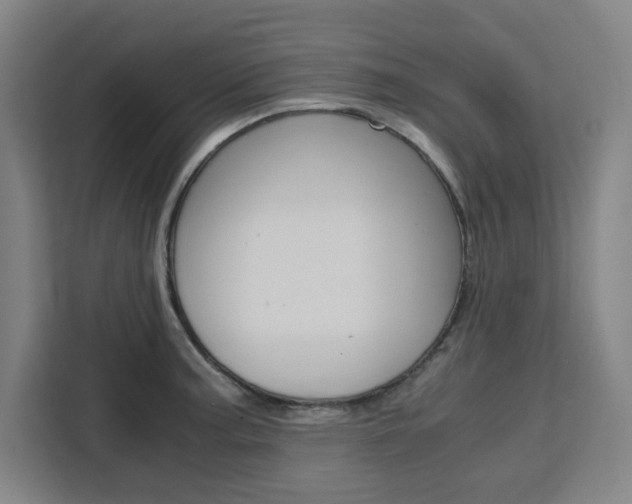 X0000111451187200907131035