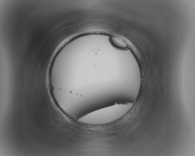 X0000111451191200907131035