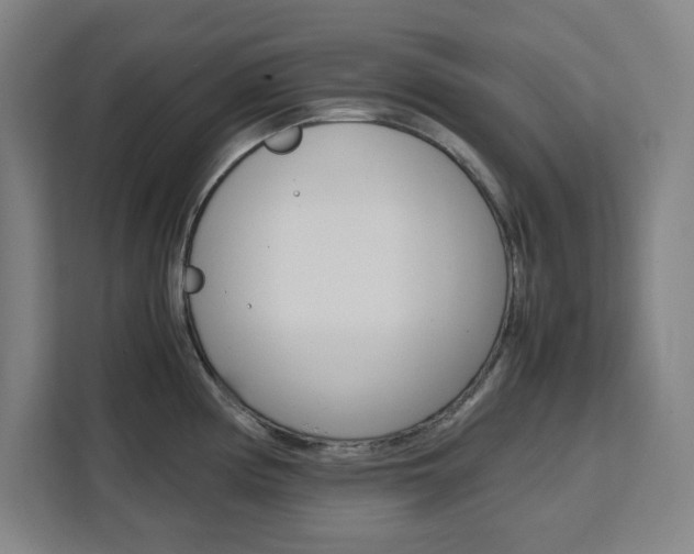 X0000111451194200907131035