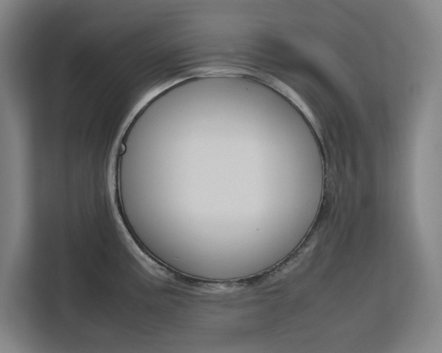 X0000111451195200907131035