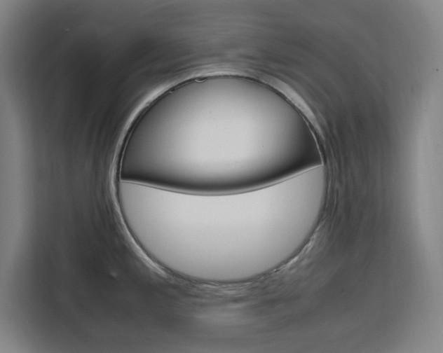 X0000111451197200907131035