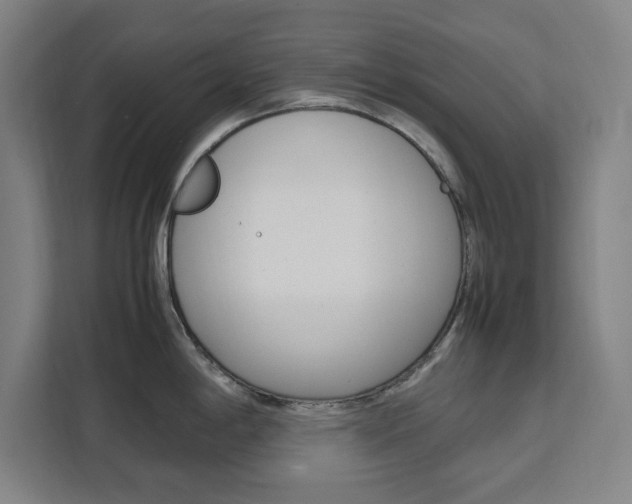 X0000111451198200907131034