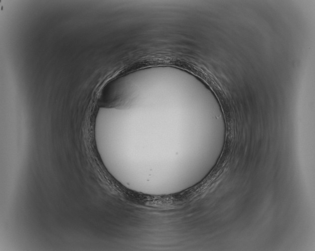X0000111451201200907131034