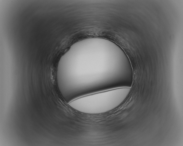 X0000111451202200907131034