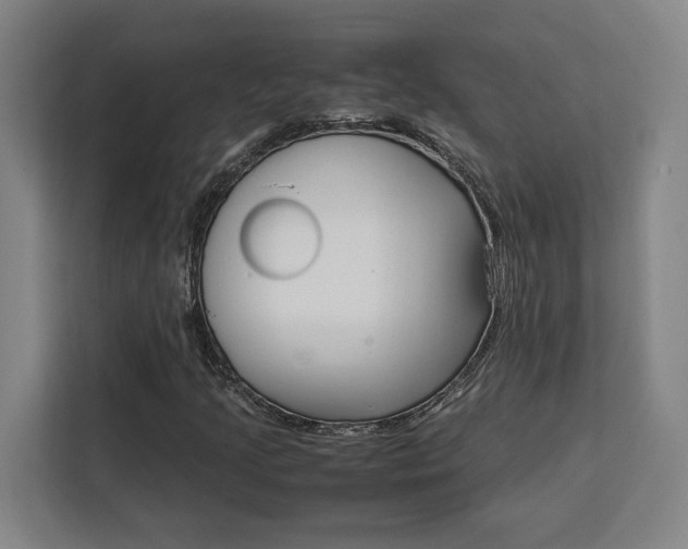 X0000111451205200907131034