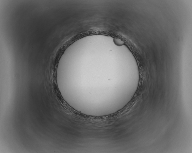 X0000111451207200907131034