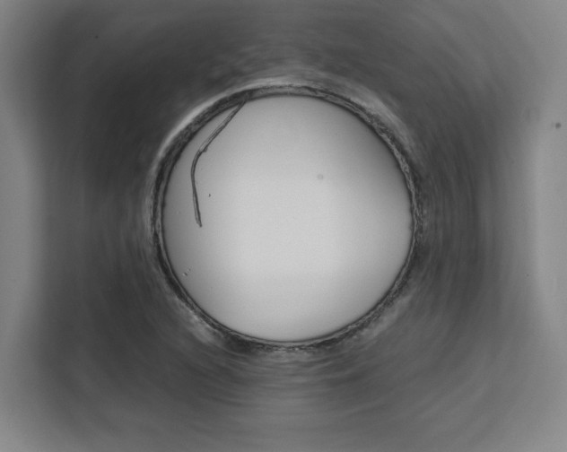 X0000111451216200907131034