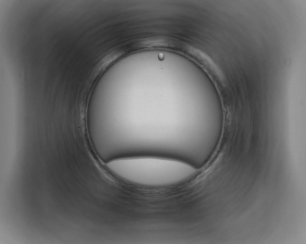 X0000111451225200907131034