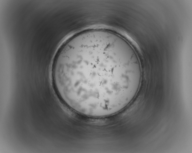 X0000111451229200907131034