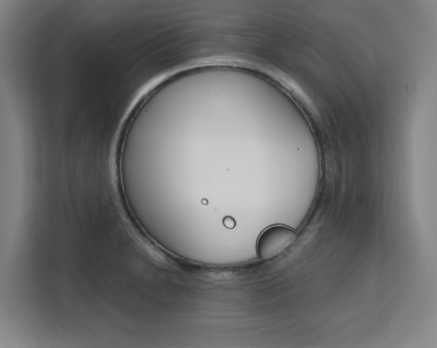 X0000111451230200907131034