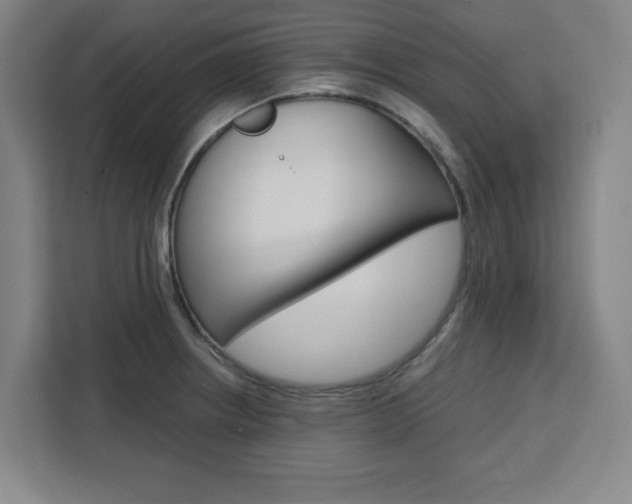 X0000111451234200907131034