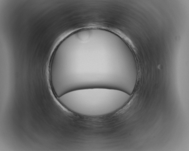 X0000111451239200907131034