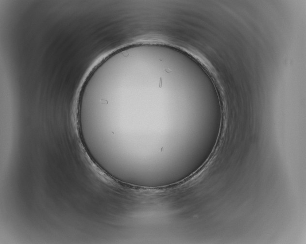 X0000111451248200907131034