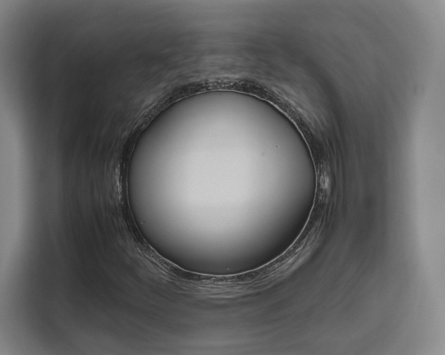X0000111451252200907131034