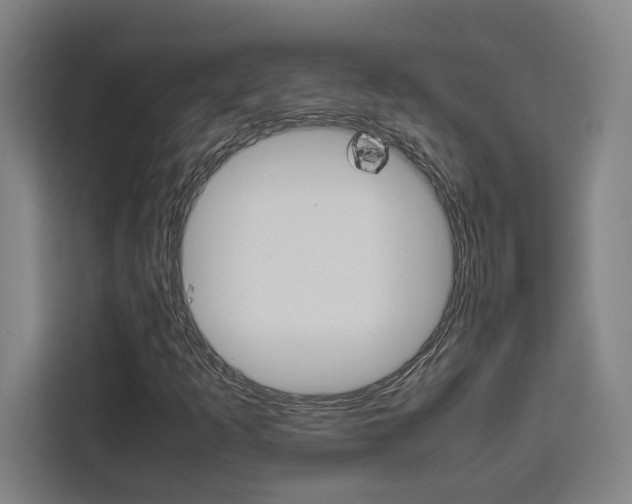 X0000111451253200907131034