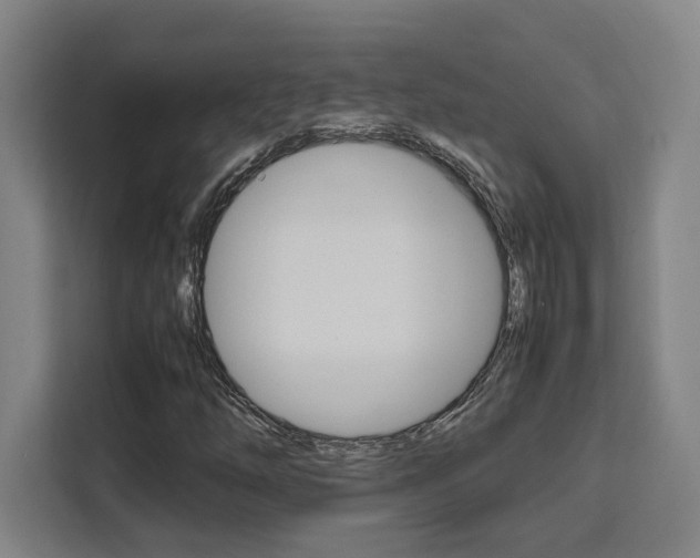 X0000111451254200907131034