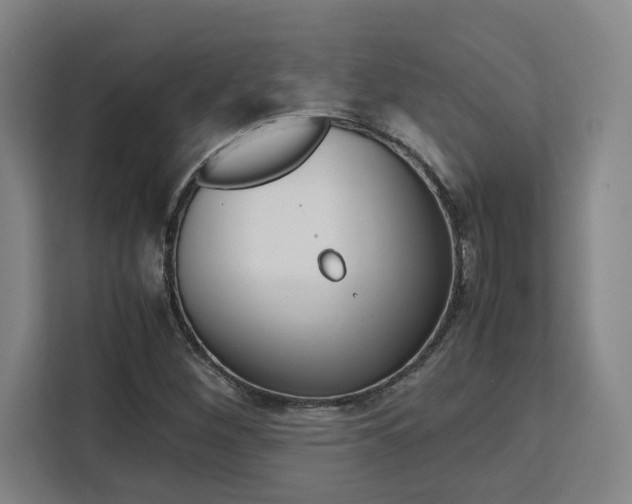 X0000111451260200907131034