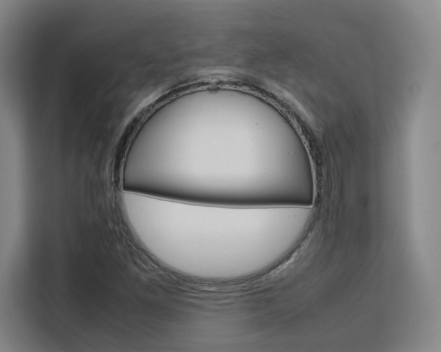 X0000111451261200907131034