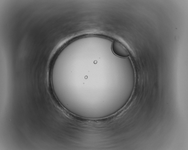 X0000111451270200907131034