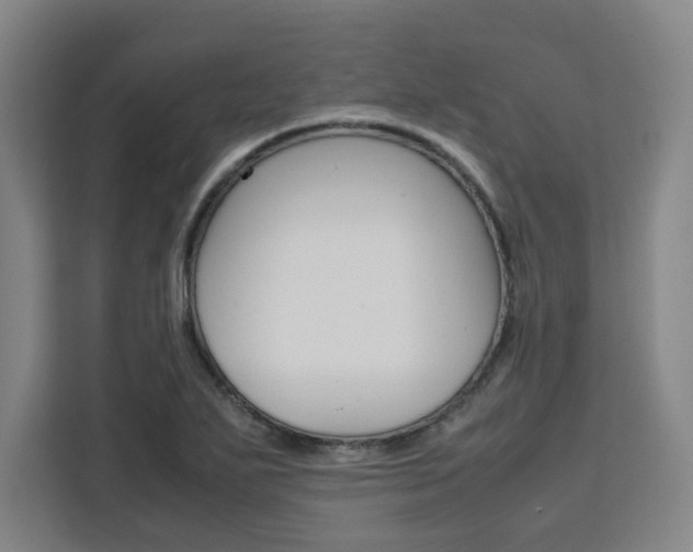 X0000111451271200907131034