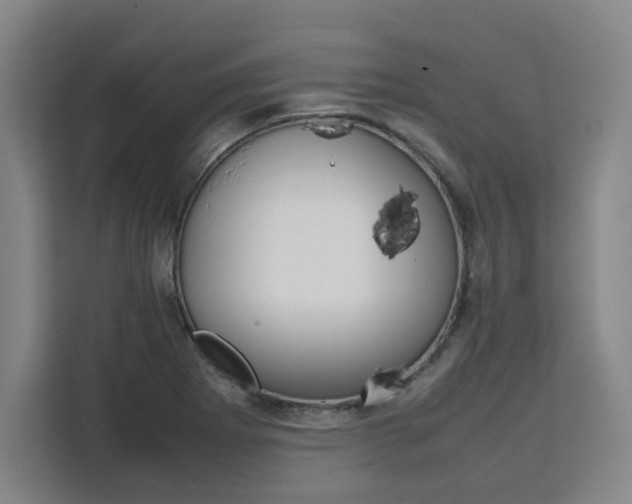 X0000111451273200907131034
