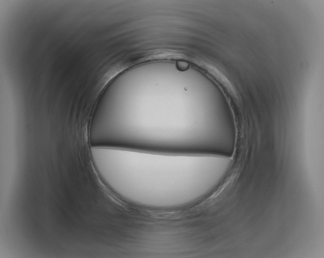 X0000111451281200907131033
