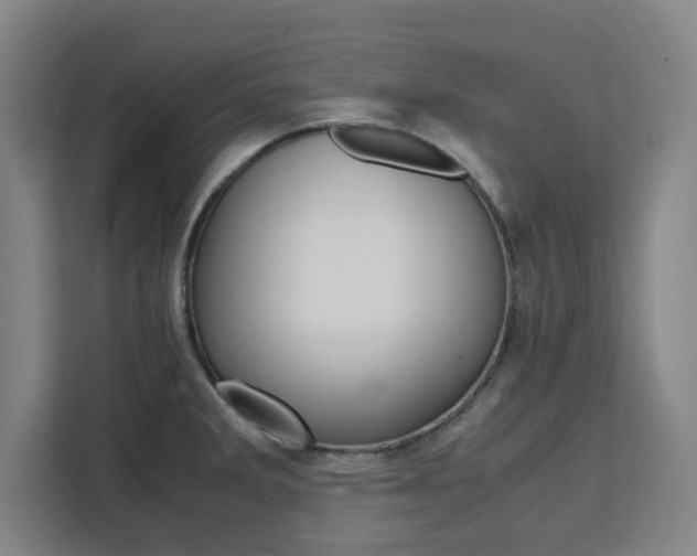 X0000111451285200907131033