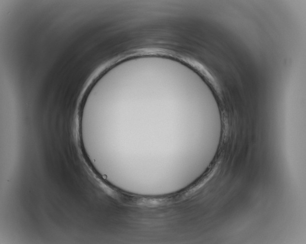 X0000111451286200907131033