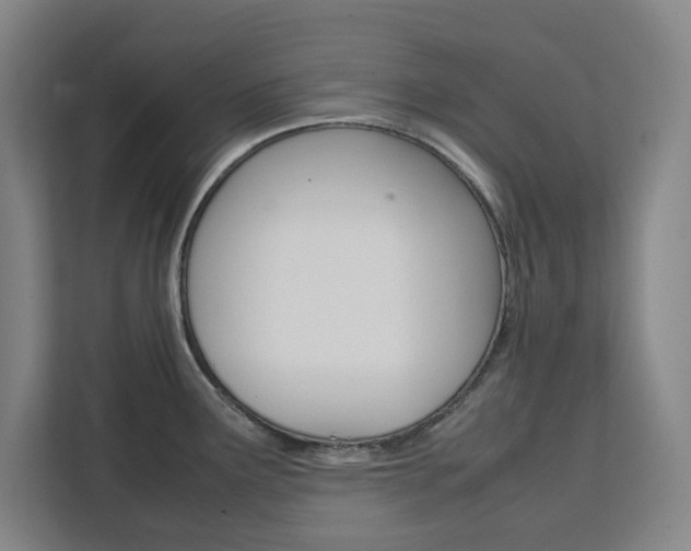 X0000111451291200907131033