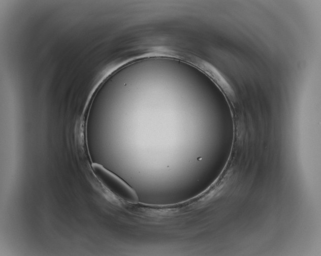 X0000111451292200907131033
