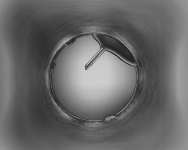 X0000111451293200907131033
