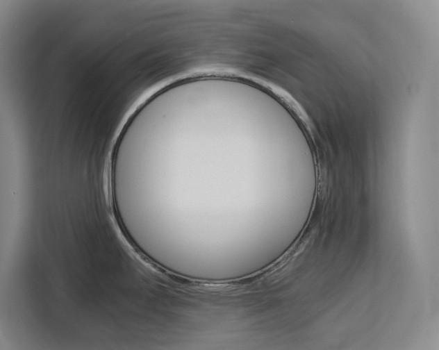 X0000111451295200907131033
