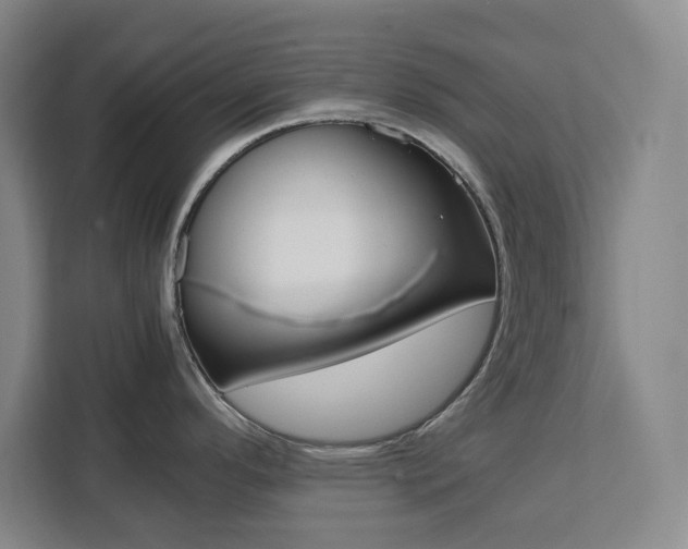 X0000111451296200907131033