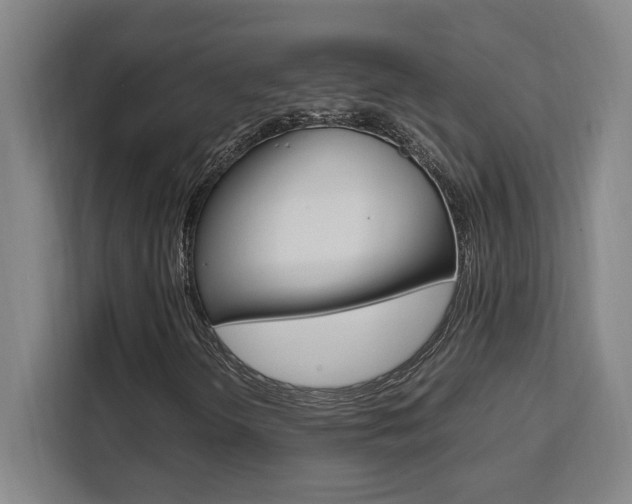 X0000111451298200907131033