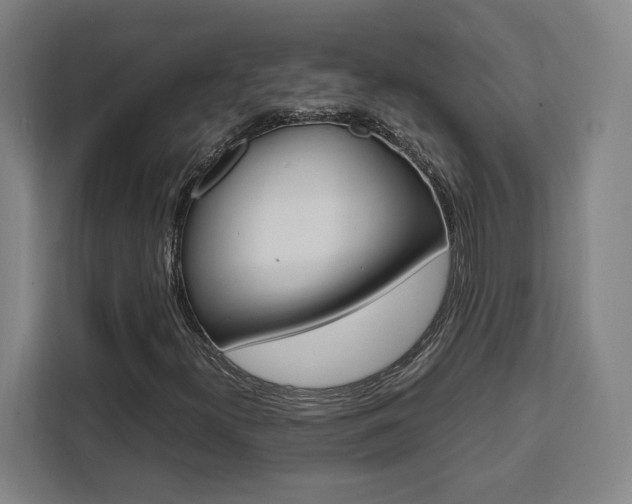 X0000111451300200907131033