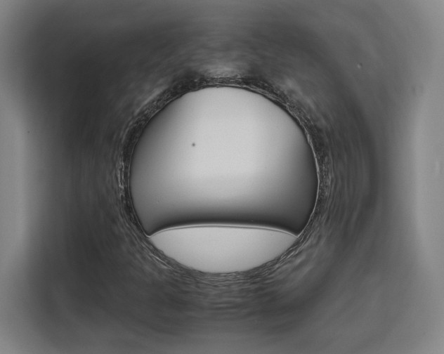 X0000111451301200907131033