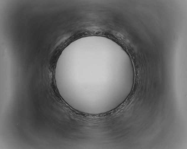 X0000111451302200907131033