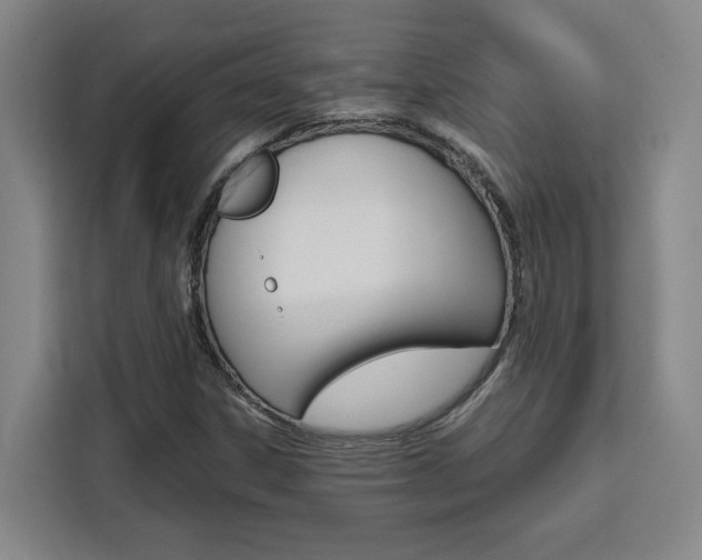 X0000111451306200907131033